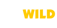 GoWild Casino