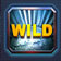 Wild5