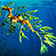 Seadragon