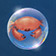 Bubble Crab